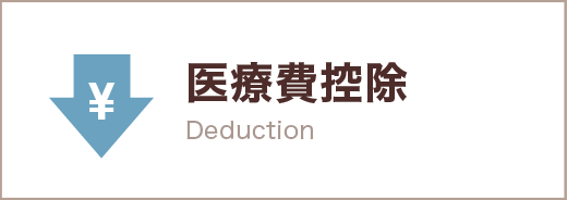 医療費控除 Deduction